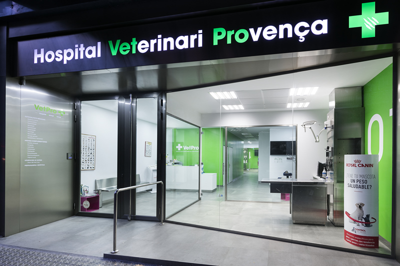 Hospital Veterinari Barcelona